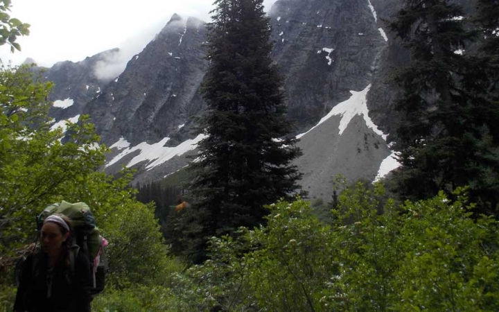 a person with a backpack walks through greenery with snowy mountains in the background